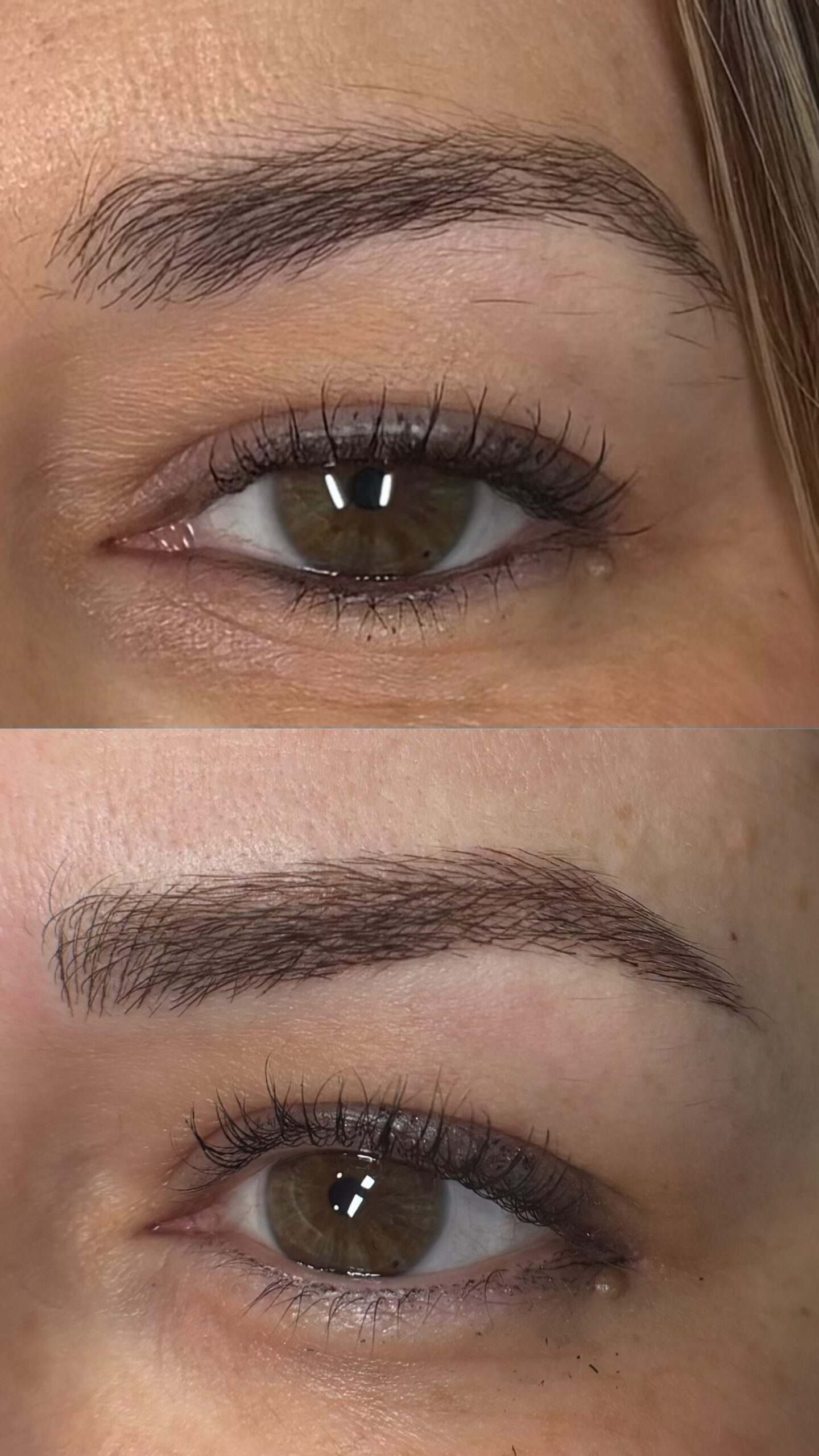cejas2antresydespu